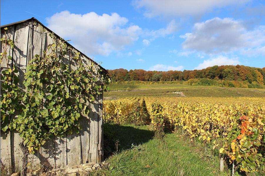 Gite Du " Bas Du Cru " Villa Romery  Esterno foto