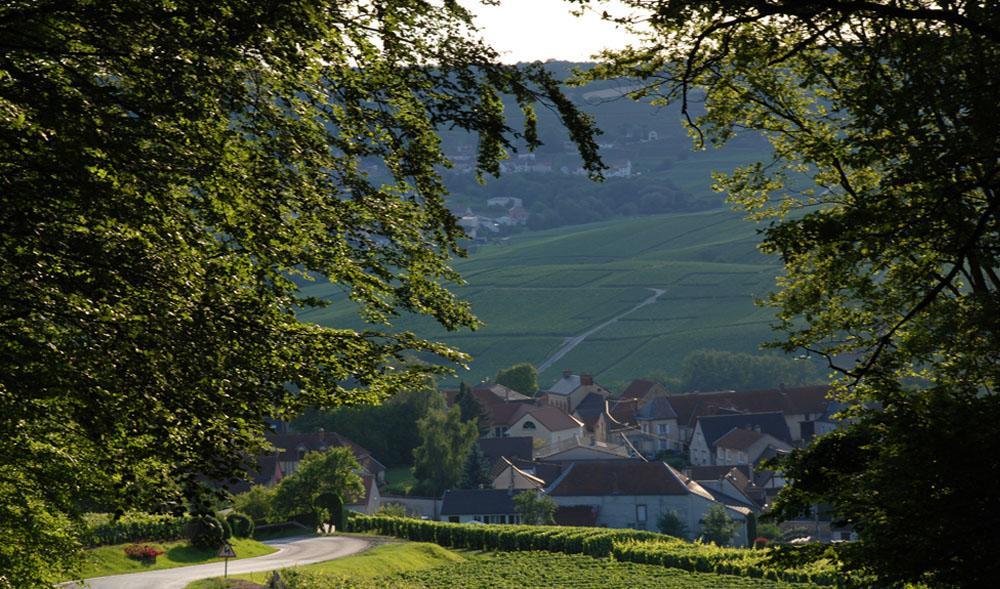 Gite Du " Bas Du Cru " Villa Romery  Esterno foto