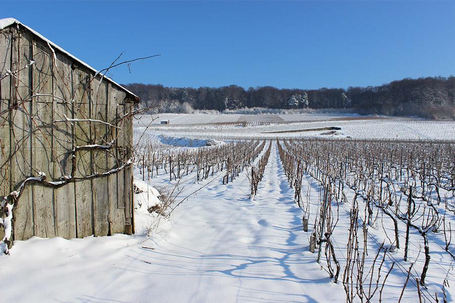 Gite Du " Bas Du Cru " Villa Romery  Esterno foto